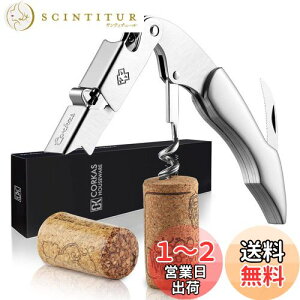 yzCORKAS \GiCt CI[vi[ RN v {ih\GiCt VOANV XeX CK04