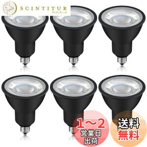 yzxydled LEDX|bgCg E11 LEDd 50w` 6W 450lm F nQd ȃGl PSEF؍ (F ubN 6)