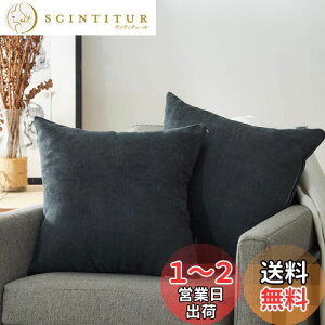 yzTopfinel NbVJo[ lۂ 45×45cm k  Ȗ n \t@w Jo[ zcJo[ ZO[ 2ZbgiS10Fj