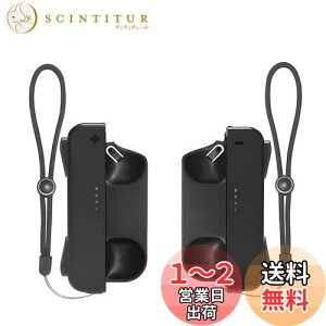 yzKINGTOP ݊i [dObv Nintendo Switchpf TNS-1729