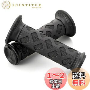 yzfCgi(Daytona) PROGRIP(vObv) oCNp Obv nha22.2(t)p 115mm X^_[ho[ Ghђ 789^Cv ubN 98126