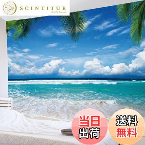 yzLB Ri^yXg[ ƊC r[` CeA @\Ǌ| t@ubNpi  _ȃA[g ͗lւ  J[e Mtg Vj150x100cm