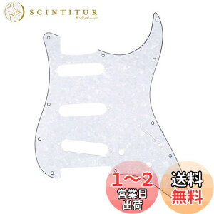 yzMusiclily 11 SSS XggsbNK[hFender USA/LVRX^_[hSTXggLX^[GLM^[pA4PzCgp[