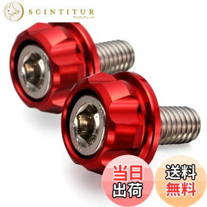 yzfCgi(Daytona) PREMIUM ZONE(v~A][) oCNp io[v[g {g M6×15mm z_[Zbg 2 bh 91945