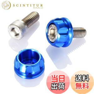 yzfCgi(Daytona) PREMIUM ZONE(v~A][) oCNp io[v[g {g M6×15mm z_[Zbg 2 u[ 91946