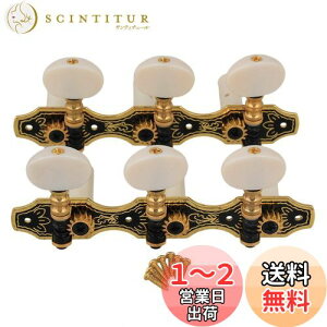 yzYibuy 2 M^[yO }Vwbh  `[jOyO 1L1R with Beige Heads NVbNM^[p