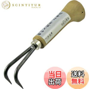 yzߗ^(KONYO) ܘY F 2{