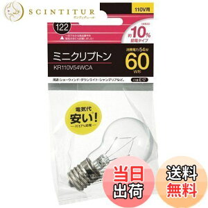 �y���������z���Ń��C�e�b�N �~�j�N���v�g���d�� 60W KR110V54WCA