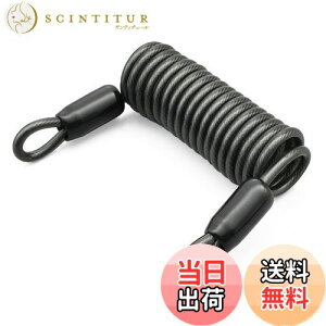 yzfCgi(Daytona) oCNp wbgbN Ci C[bN 1200mm 79489