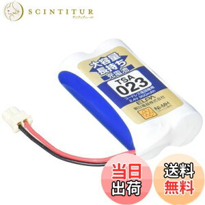 yzGp (ELPA) eʒ[dr pi\jbNi 2.4V 900mAh jbPf[dr TSA-023