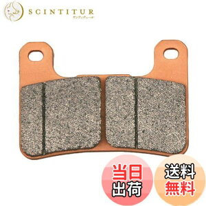 yzfCgi(Daytona) oCNp u[Lpbh S[fpbhX(V^[h^pbh) Z900RS(17-22) VXg[1050(20-21) GSX1300RnuT(08-12) Ninja1000SX(20-21) Ȃ tgp 97159 