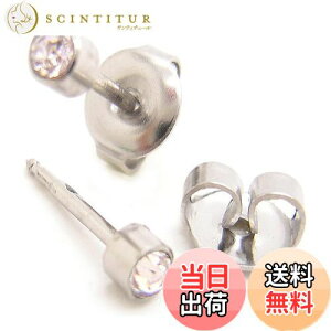 yzt@[XgsAX 1ZbgipjŋۃpbN AM[t[ T[WJXeX [ yA/NA (pr001-1)