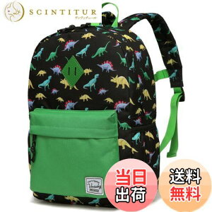 yz[Vaschy] bN LbY, bNTbN q ʊw obO ct ۈ牀 ʉ w j̎q w 킢 