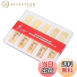 yzAlomejor y10{zBtbg Nlbgp [h x2.5 2 1/2؊Ǌy S ty K [P[Xt