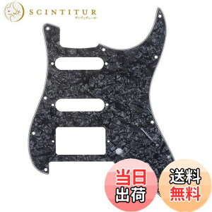 yzMusiclily Pro 11 HSS STXggsbNK[h American/LVRFender StratXggLX^[GLM^[ Floyd RoseubWJbgpA4vCubNp[