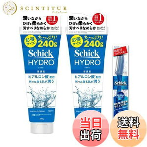 yzSchick(VbN) nCh VF[rOWF J~\ E Ђ VF[rO ݂ Zbg 240O (x 2)