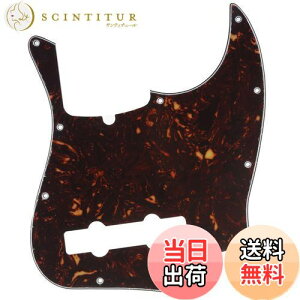 yzMusiclily Pro 10 vVWx[XPBsbNK[h5Fender American Precision BasspAꈍb4P