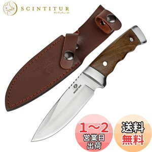 yzMOSSY OAK iCt AEghAiCt V[XiCt t^O\ S225mm VREbhnh oR Lv gbLO ނ ƒp DIYp hЗp pV[Xt