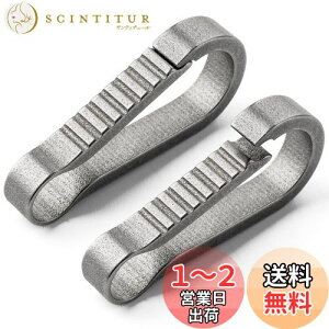 【送料無料】TIMULTI チタン カラビナ 小型 鍵 車 キーホルダー クイックリリース キーフック バックパック ベルトループ おしゃれ 紛失防止 取付簡単 頑丈(グレー/Sサイズ 2個)