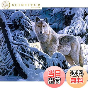 【送料無料】DIYクロスステッチキットダイヤモンド絵画5D塗装キット、冬の雪狼WOWDECORフルドリルDIYダイヤモンドアートペイント数字油絵 (狼)