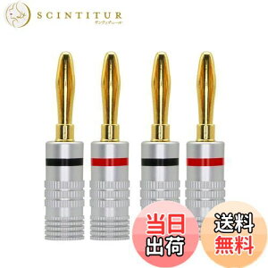 yzCERRXIAN 4mm\_[X oiivO RlN^ oiivO Xs[J[yAڑ^Cv / 24kbL/VFz lWߕ̃oiivO Xs[J[P[u Xs[