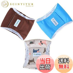 yzTeamoy }i[xg 3_Zbg IX bVn zwt hHn EFXgTCY\ }[LOh~ p R炵΍(XS,+Cgu[+R[q[F)