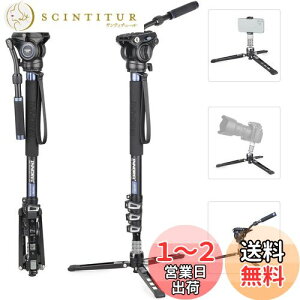 yzINNOREL m|bh X^h r rfI Bep t[h_ F60 Or ώ 360xpm} o[bN liLk 72-182cm ra32/29/26/22mm őω׏d10kg fW^჌t 