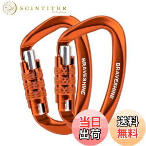 �y���������z�J���r�i 12KN �I�[�g���b�N�� BRAVESHINE �ω׏d1200kg ���b�N�J���r�i D�����O �y�� �n�����b�N �^�[�v �L�����v�p �ו��̃t�b�N ���̃��[�h�p ���@�\ 2�Z�b�g (�I�����W2��)