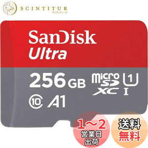 yzSanDisk SDSQUA4-256G-GN6MN COe[ A_v^[