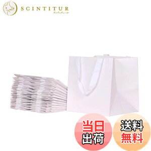 yzPAPERIST 12Zbg zCgNtg MtgobO L }`L XNGA^ 񂰎 Vv n (23×23×20cm)