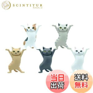 yzMRZJ JKRLyz_[lR̃y S5Zbggyz_[ (5PCS)