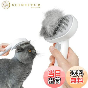 yzAEJ (Aumuca) ybgpuVuvbVvLuV puV L  ю uV }bT[W XbJ[uV ubVOuV ыʎuV Lʗp 