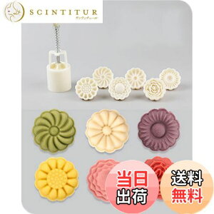 yz[BEAUTY PLAYER]݌^ [P[L^ ݃[h ݋^vX 蓮͌ NbL[^ x[LO^^ َq aَq H ABS {+͗lԕ6 50g ƒp