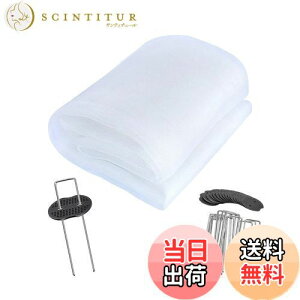 yzhlbg lbg |G` 3m×c10m Q̐Nh |؍͔|lbg hlbg ۉ h ʂ ƒ؉   |  zCg