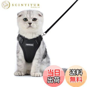 yzRabbitgoo L n[lX [h Zbg ^ Lp Ȃ ́[˂ \tg y グ TCY߉ lR U R 锽 ʋCbV Pݖh~ 