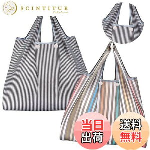 yz[GOKEI] GRobO y2 50×67cm eʁz ܂肽 obO RrjobO hf [ ≘ɂ y RpNg