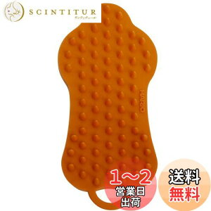 yznI (HARIO) ю p Lp uV ubVO }bT[W ю| 􂢉\ ybg̃uV Obe \tg IW