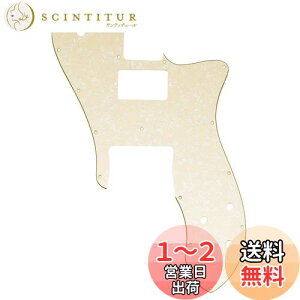 yzMusiclily Pro 16 eLX^[sbNK[h 1n}Egdl Fender American/Mexican 72 Tele CustomGLM^[pAGCWhzCgp[4P