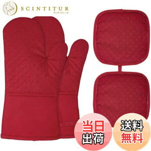 yzI[u~g Whonor ϔM~g 300xϔM ₯ǖh~  _ȖȐ+\ʃVR[bV ~ ꂪڗ dqW P[LĂ 痿 o[xL