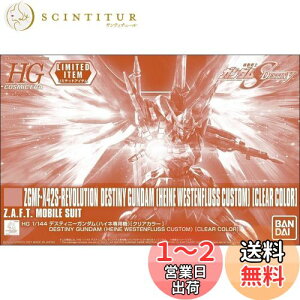 yzo_C(BANDAI) HG 1/144 fXeBj[K_(nClp@)[NAJ[] @mK_SEED DESTINY
