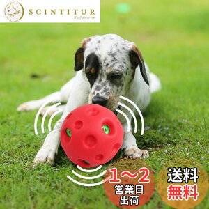 yzpet prime   {[ ^p ۂۂ퉹o dďvȉ̏o邨 傫ȉDȃ ȒP ^ a14cm