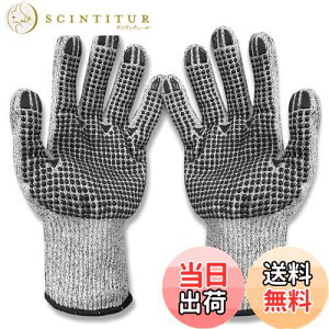 yz[Wlikn] hn R HPPEhn5 Ɨp O[u ϐؑn ϖ ~ | Lv p AEghAp I[V[YΉ