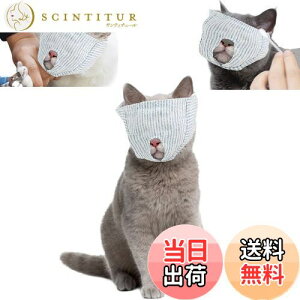 yzTRX Lp ډB }XN ی}XN L̃}Y ܐ؂⏕p }XN ybg  L }XN 炩n ʋC | L ݂h~ EHh~ \L