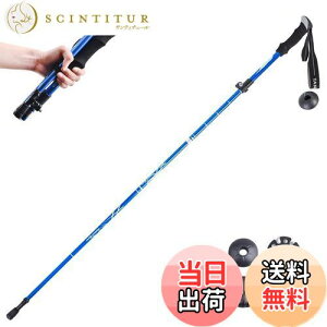 yzTRIWONDER gbLO|[ ܂肽 oRXgbN EH[LO|[ yʃA~ RpNg [obOtit (u[ - 130cmi1{j)