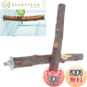 yzYFFSFDC  ~܂I^ p[` IECR܂𖁂 ނ R񂲂̖ ݒuȒPxݏꏊ pi 2{Zbg