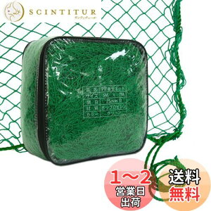 【送料無料】Gulfmore PP養生ネット 5x7m バードネット 多目的PP養生ネット 園芸ネット 防鳥ネット 防獣ネット 万能グリーンネット 果樹守りネット 飛散防止ネット 野球・ゴルフ練習用ネット 防
