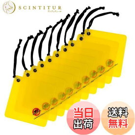 【送料無料】カラスバスター カラスよけ 撃退グッズ 【(14x14cm)x10枚セット】日本製 吊るすのみ 燕の巣守りにも効果的 簡単設置 安全 特許有 鳥害対策 カラス対策 カラスよけグッズ からす近寄らず