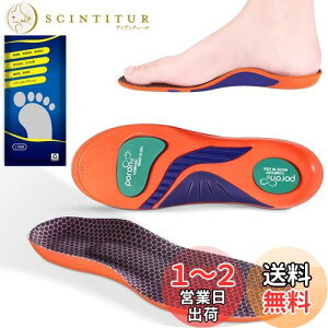 yzKozzim X|[cC\[ Ռz d ~yAbvO[hŁzA[`T|[gC\[ K 퐶 (22.5-23cm)