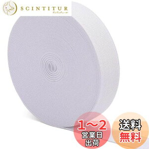 【送料無料】KALOLINNA 平ゴム 弾性バンド ウエストゴム サイズ 調整 調節 織り 紐 裁縫 手芸 材料 パンツのゴ 裁縫 ツール(25mm*10m,ホワイト)