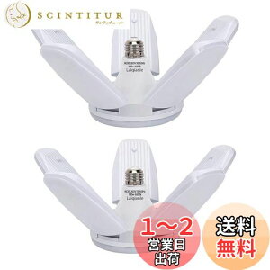 yzLaiqianle K[WCg 100w 2 LEDV[OCg y_gCg Ɠ 6 F 6500K VƖ tȒP Hsv px߉\ ȃGl Ԍ q [ HpCg 